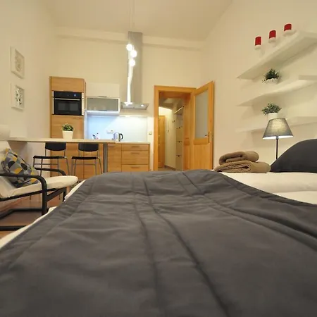 Husitska Apartamento *
