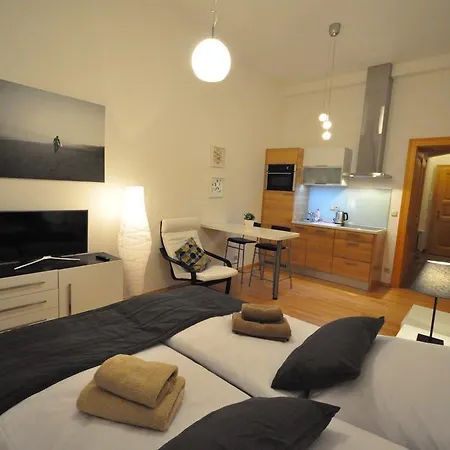 Apartamento Husitska Praga