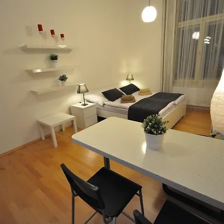 Apartment Husitska Prague